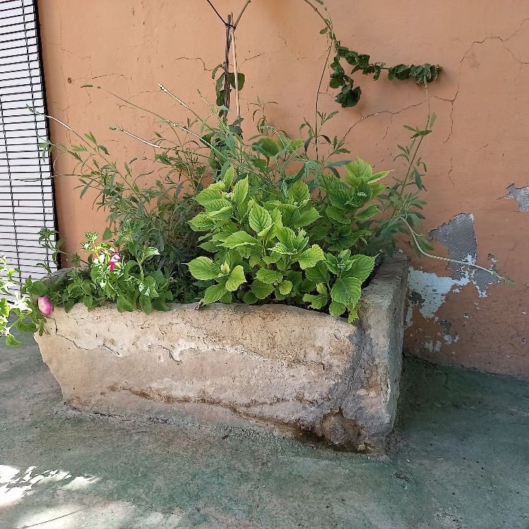 6 slaapkamer Finca/Landhuis te koop in Chinorlet / Xinorlet met zwembad - € 250.000 (Ref: 7070854)