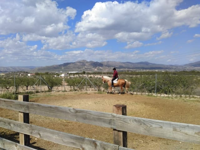 5 bedroom Finca/Country House for sale in Sax with pool - € 349,500 (Ref: 7158454)
