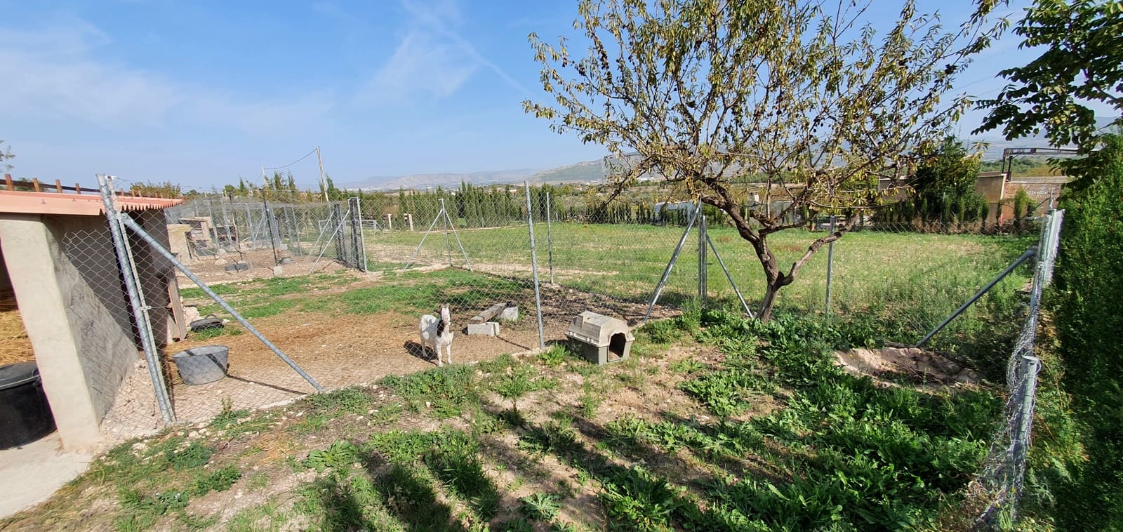 5 slaapkamer Finca/Landhuis te koop in Sax met zwembad - € 349.500 (Ref: 7158454)