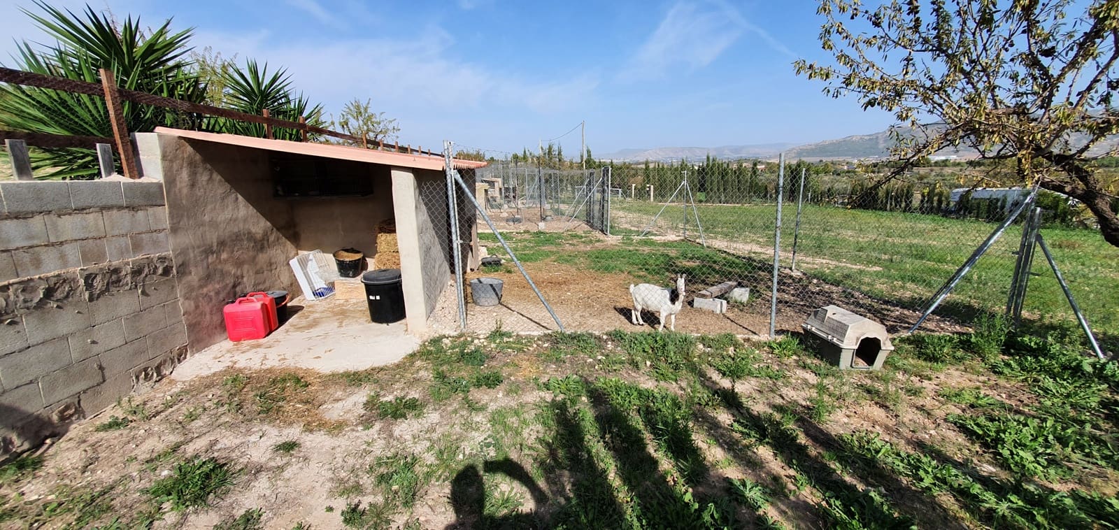 5 slaapkamer Finca/Landhuis te koop in Sax met zwembad - € 349.500 (Ref: 7158454)