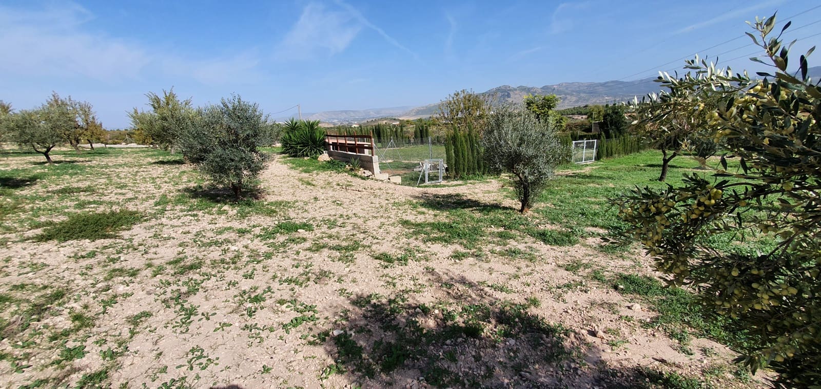 5 slaapkamer Finca/Landhuis te koop in Sax met zwembad - € 349.500 (Ref: 7158454)