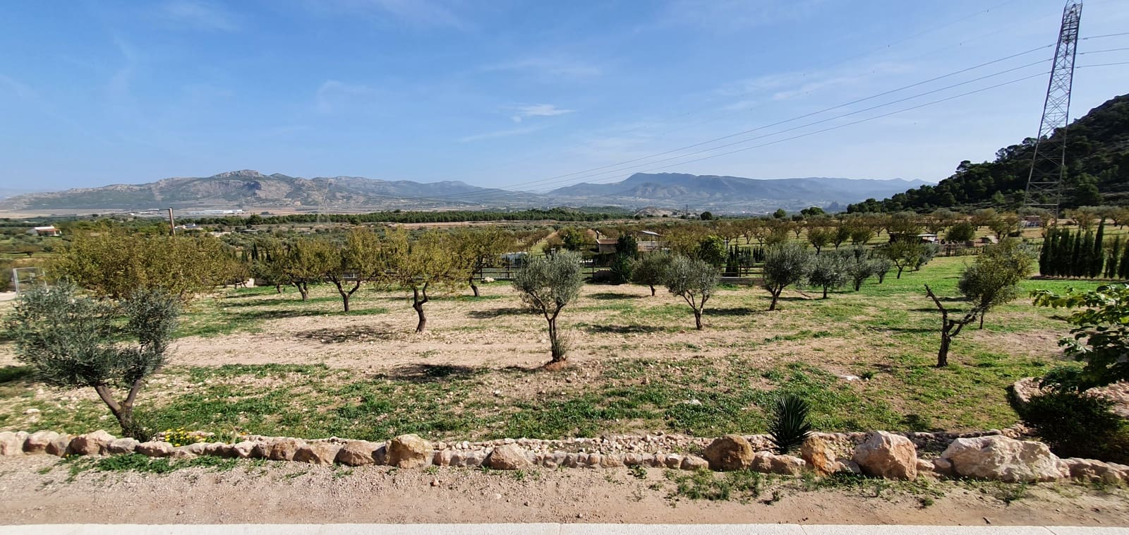 5 slaapkamer Finca/Landhuis te koop in Sax met zwembad - € 349.500 (Ref: 7158454)