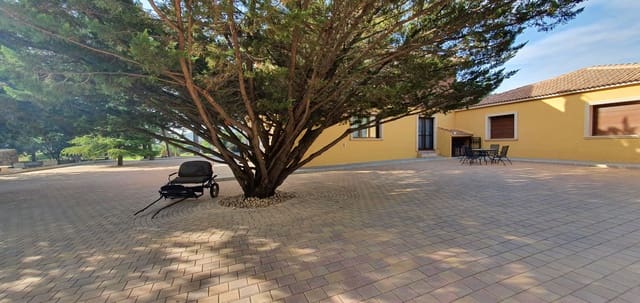 6 chambre Villa/Maison à vendre à Salinas avec piscine - 1 000 000 € (Ref: 7177572)