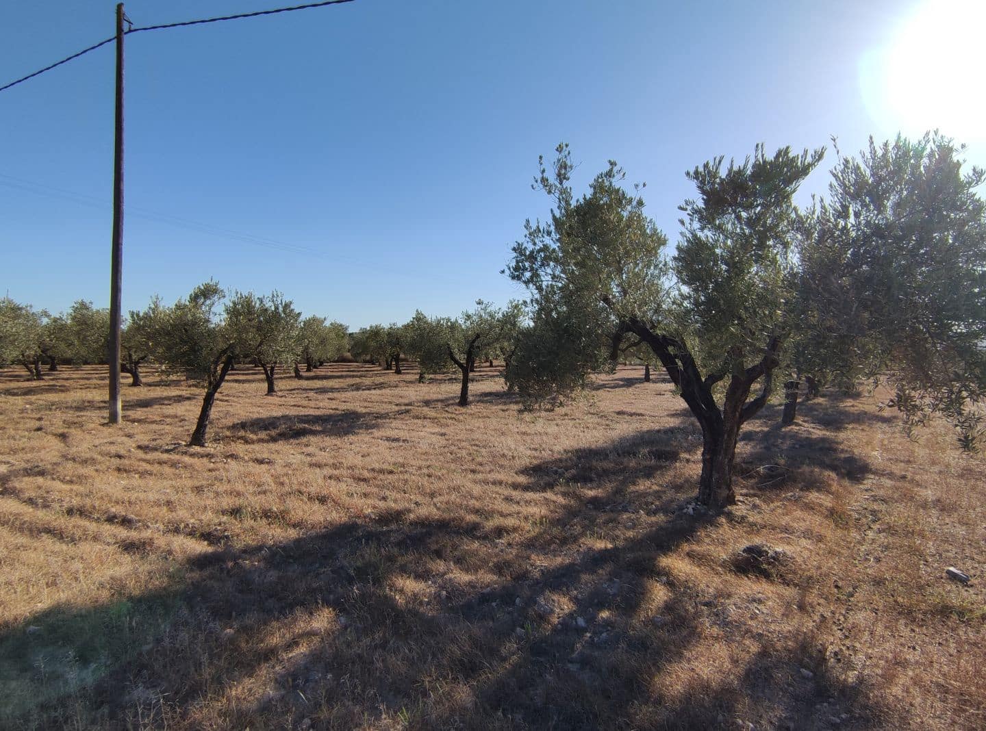 4 chambre Finca/Maison de Campagne à vendre à Sax avec piscine - 369 995 € (Ref: 7464754)