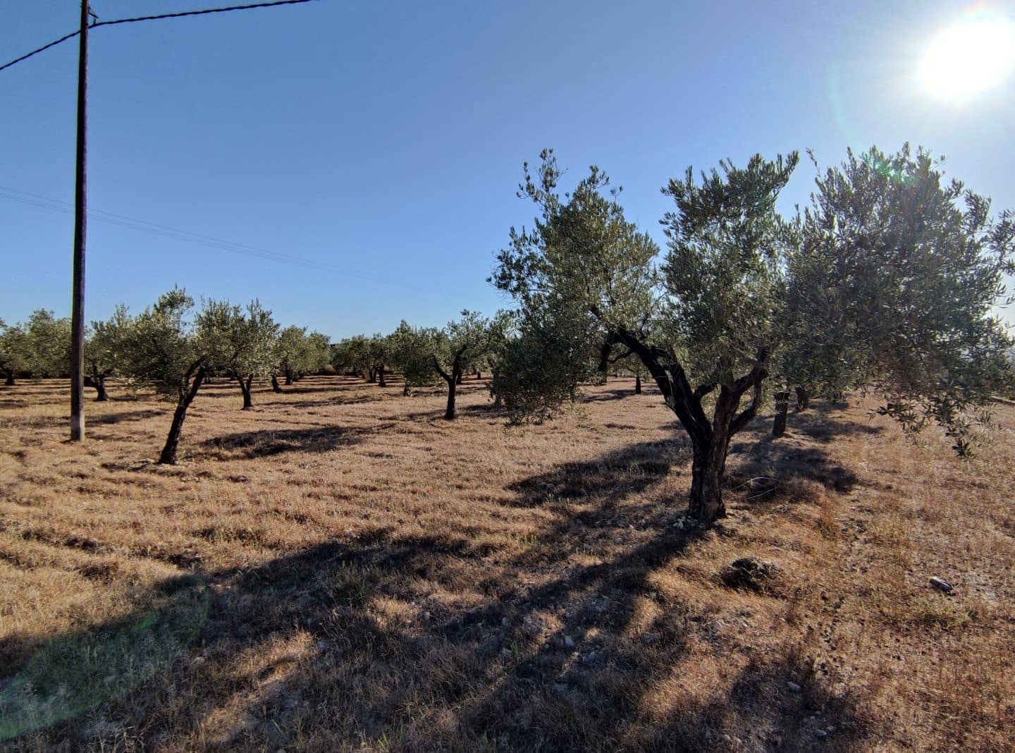 4 chambre Finca/Maison de Campagne à vendre à Sax avec piscine - 369 995 € (Ref: 7464754)