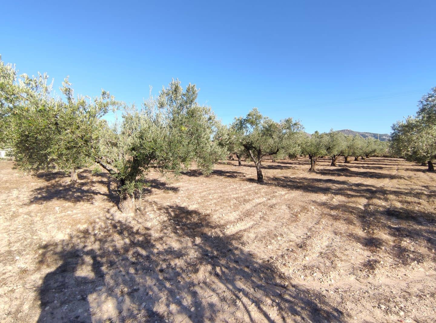 4 chambre Finca/Maison de Campagne à vendre à Sax avec piscine - 369 995 € (Ref: 7464754)