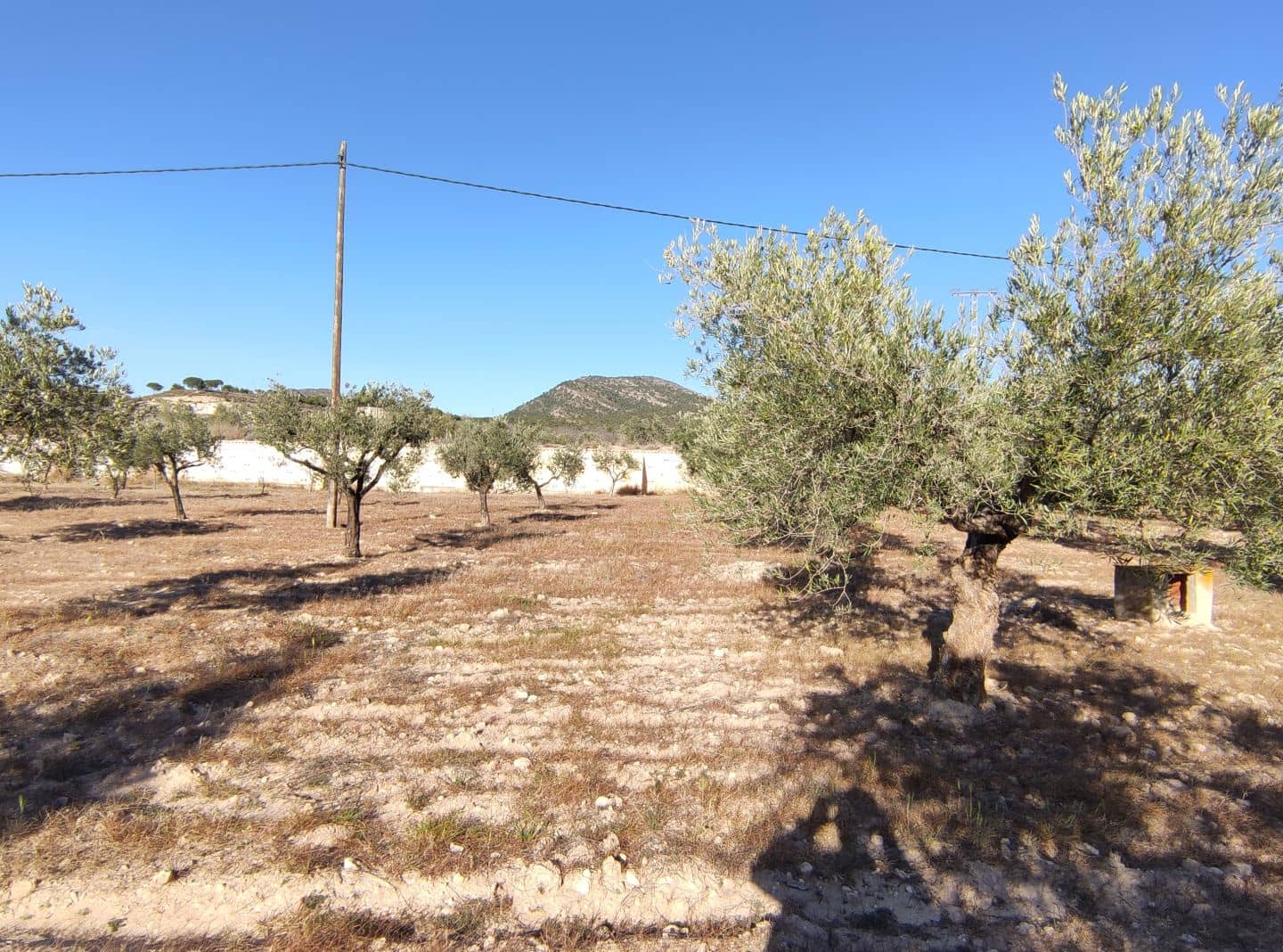 4 chambre Finca/Maison de Campagne à vendre à Sax avec piscine - 369 995 € (Ref: 7464754)