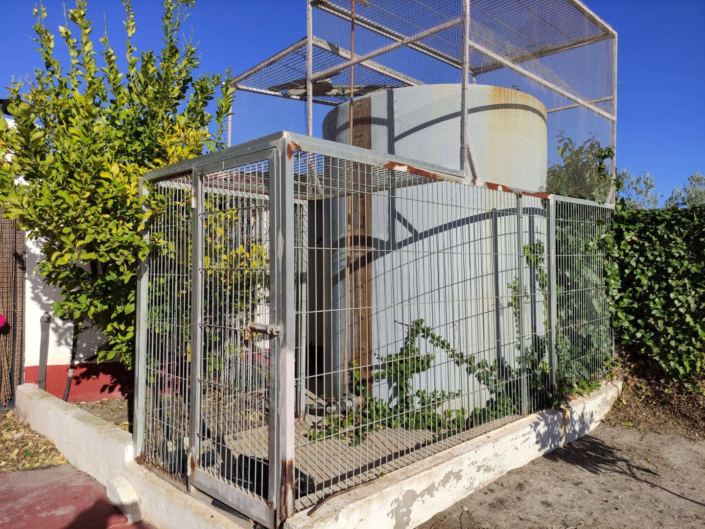 4 chambre Finca/Maison de Campagne à vendre à Sax avec piscine - 369 995 € (Ref: 7464754)