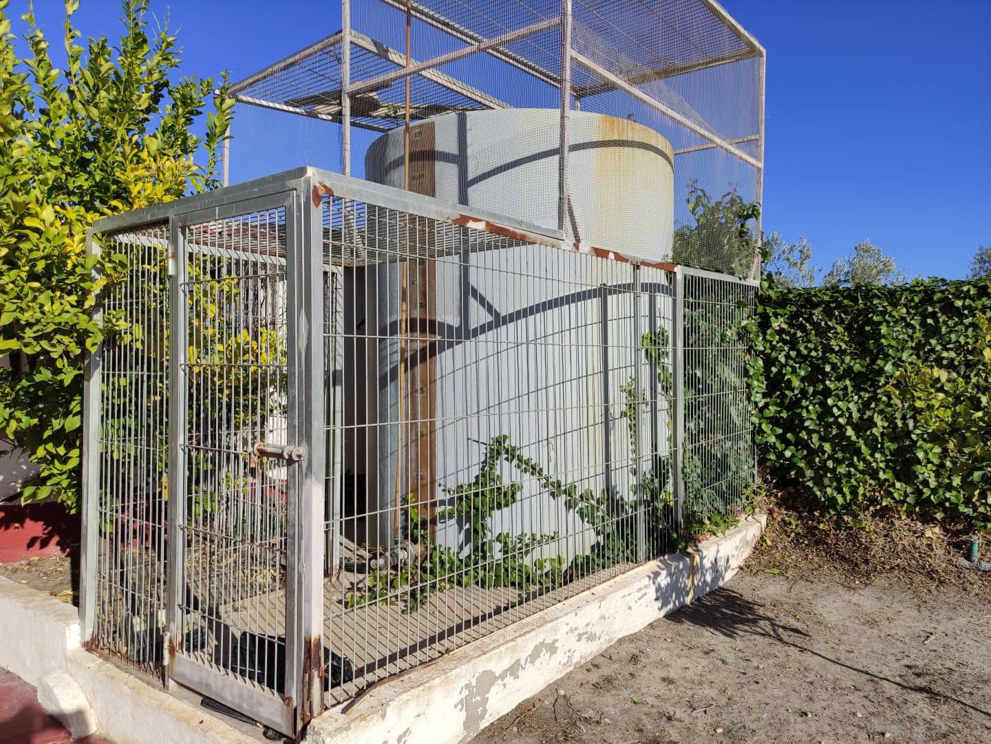 4 chambre Finca/Maison de Campagne à vendre à Sax avec piscine - 369 995 € (Ref: 7464754)