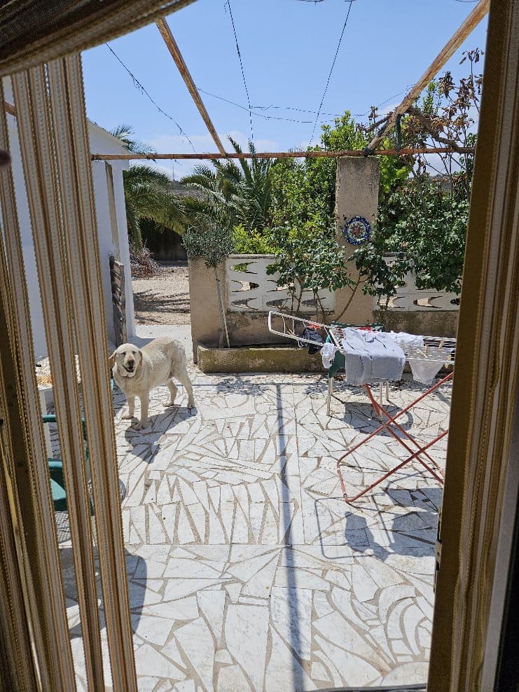 3 soveværelse Erhverv til salg i Elda - € 525.000 (Ref: 8370030)