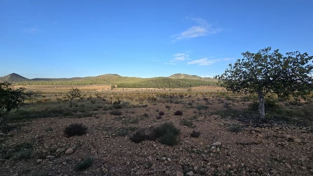 6 chambre Finca/Maison de Campagne à vendre à Salinas - 110 000 € (Ref: 8607663)