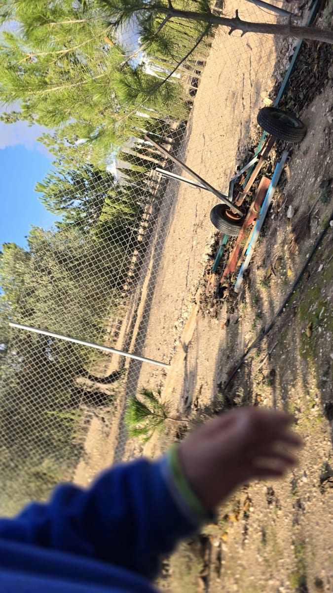 3 slaapkamer Finca/Landhuis te koop in Sax met zwembad - € 69.999 (Ref: 8635312)