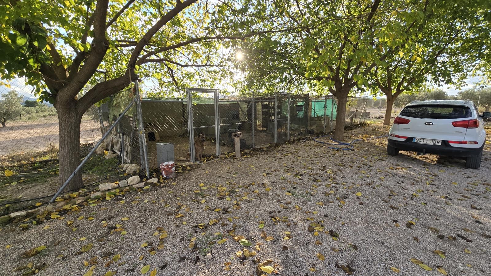 3 slaapkamer Finca/Landhuis te koop in Sax met zwembad - € 69.999 (Ref: 8635312)