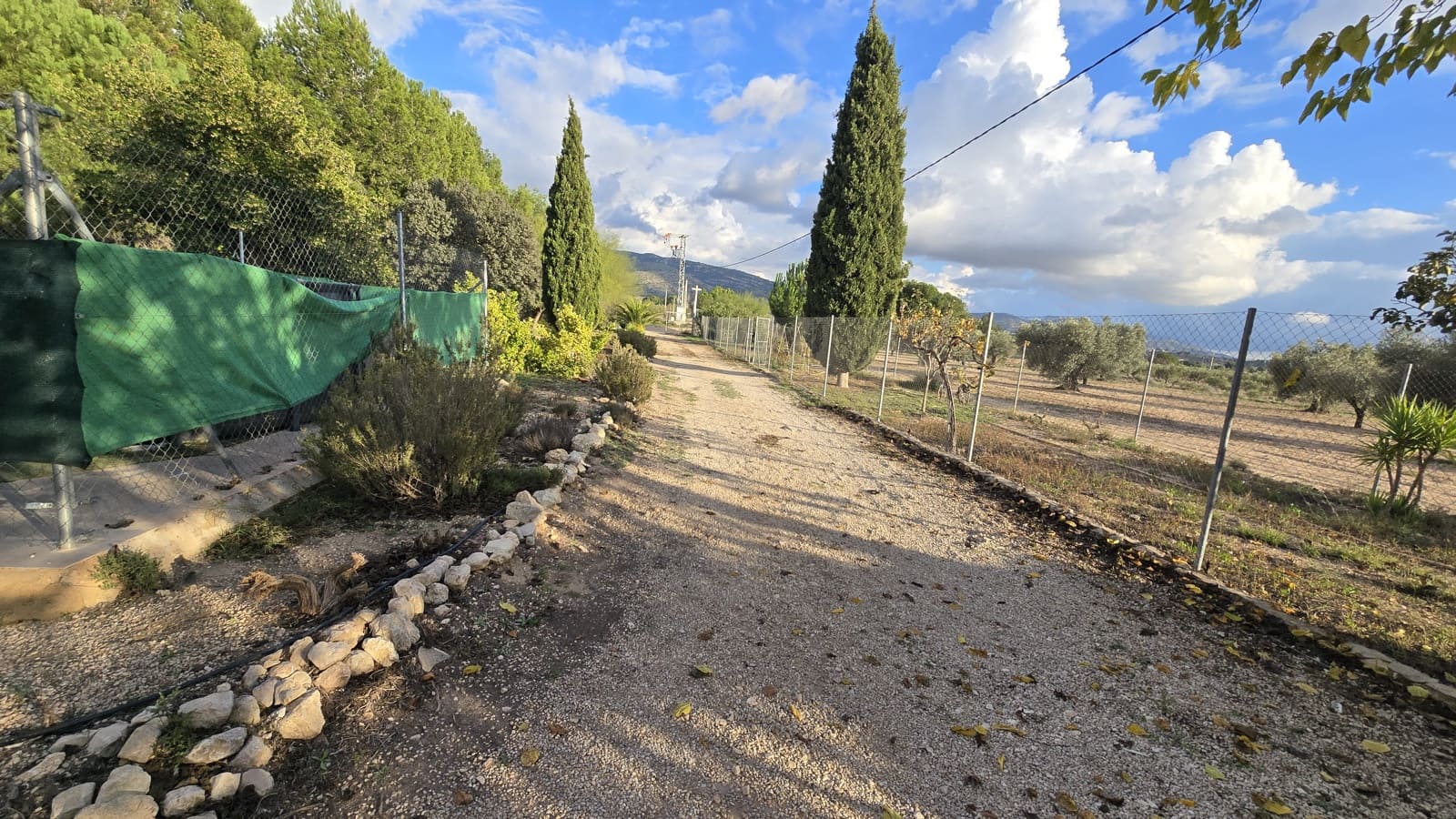 3 slaapkamer Finca/Landhuis te koop in Sax met zwembad - € 69.999 (Ref: 8635312)