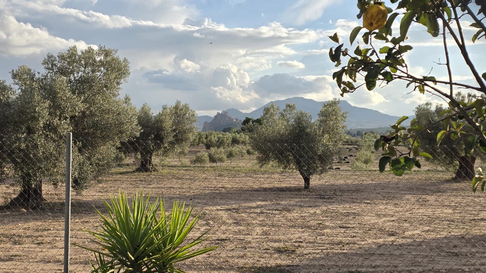 3 slaapkamer Finca/Landhuis te koop in Sax met zwembad - € 69.999 (Ref: 8635312)