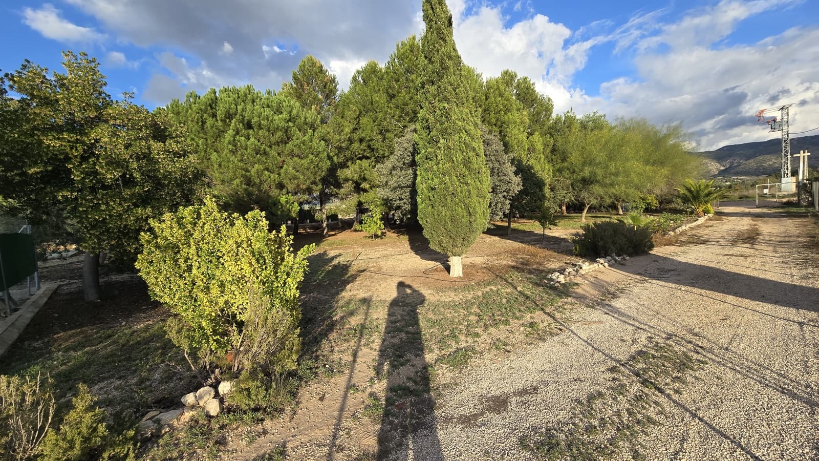 3 slaapkamer Finca/Landhuis te koop in Sax met zwembad - € 69.999 (Ref: 8635312)