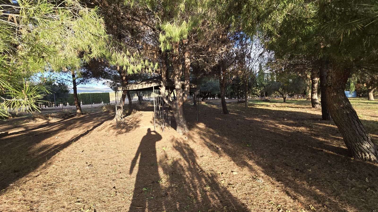 3 slaapkamer Finca/Landhuis te koop in Sax met zwembad - € 69.999 (Ref: 8635312)