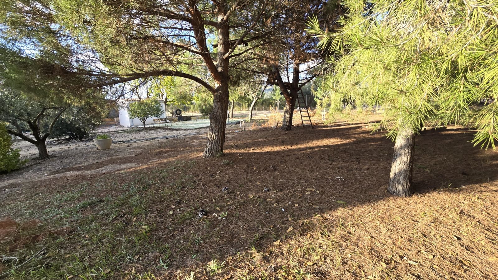 3 slaapkamer Finca/Landhuis te koop in Sax met zwembad - € 69.999 (Ref: 8635312)