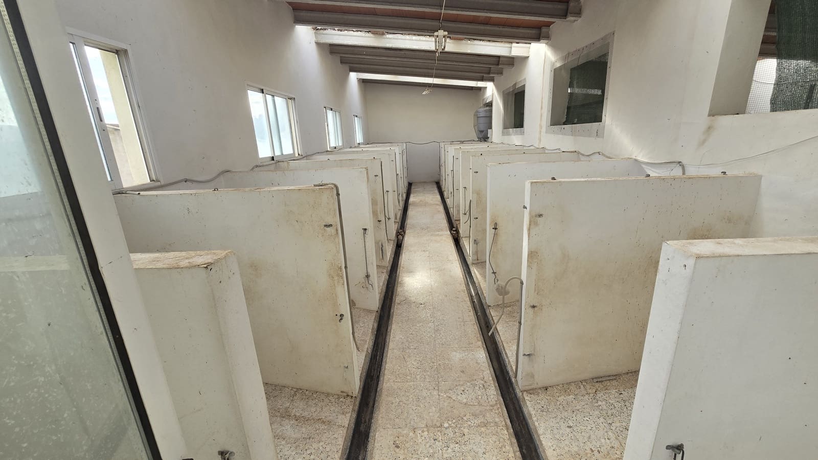 4 chambre Finca/Maison de Campagne à vendre à Salinas avec piscine garage - 470 000 € (Ref: 8716354)