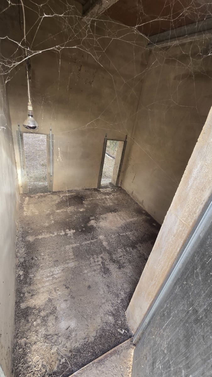 4 Zimmer Finca/Landgut zu verkaufen in Salinas mit Pool Garage - 470.000 € (Ref: 8716354)