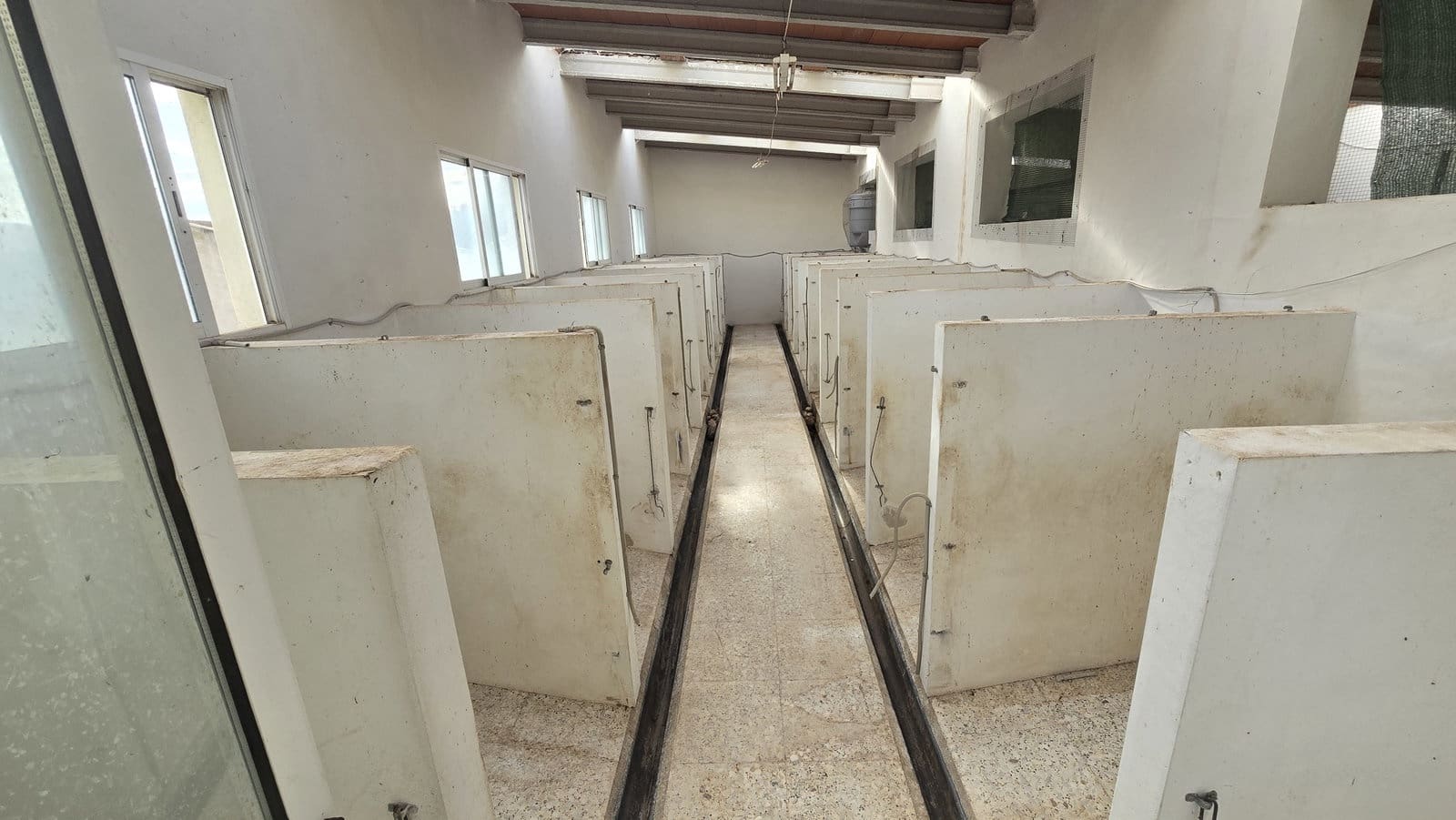 4 Zimmer Finca/Landgut zu verkaufen in Salinas mit Pool Garage - 470.000 € (Ref: 8716354)
