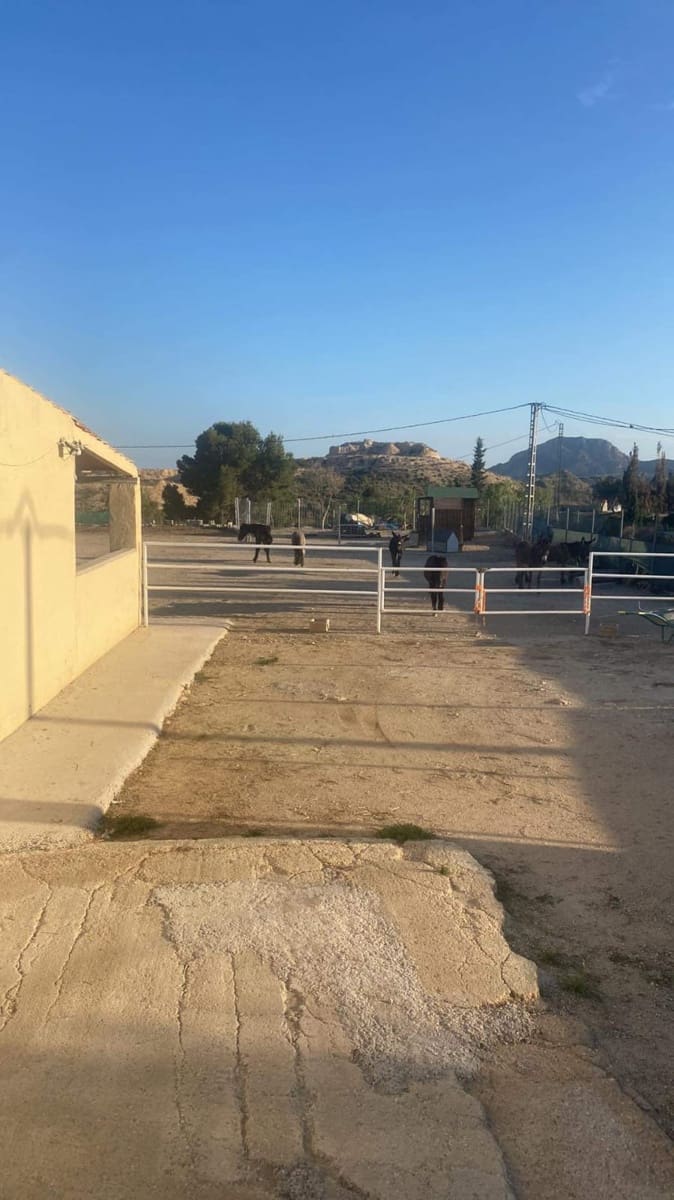 5 soveværelse Finca/Landehus til salg i Jijona / Xixona med swimmingpool - € 439.000 (Ref: 8780705)