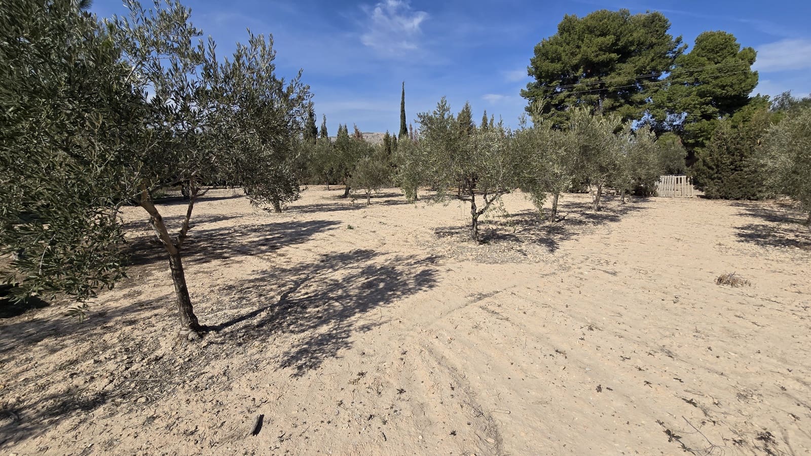 3 soveværelse Finca/Landehus til salg i Elda - € 230.000 (Ref: 8820576)