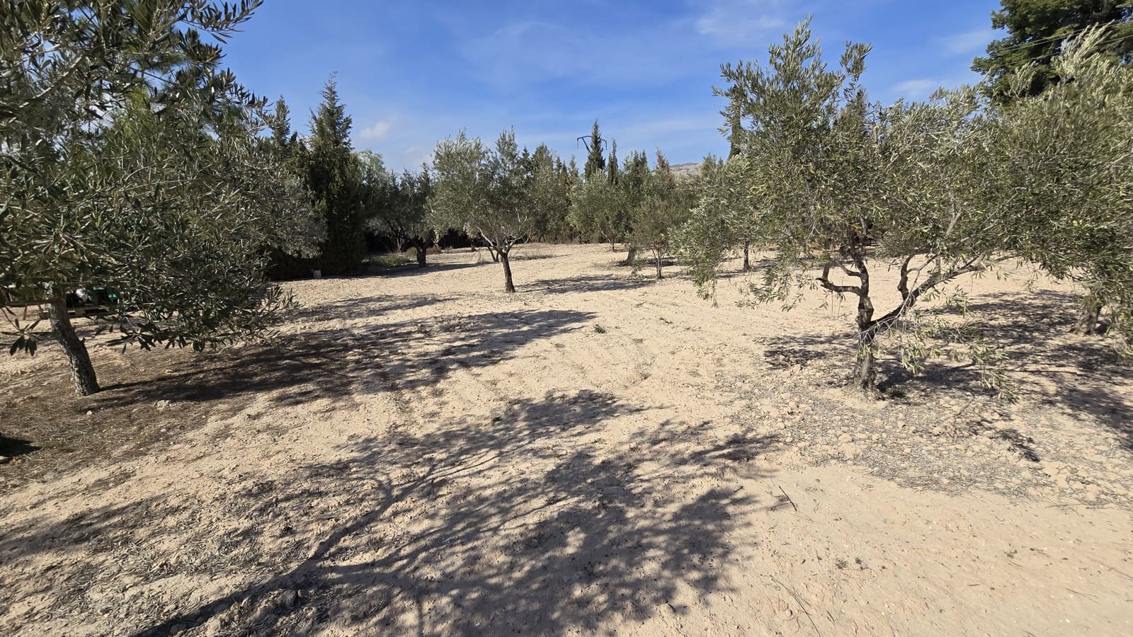 3 soveværelse Finca/Landehus til salg i Elda - € 230.000 (Ref: 8820576)