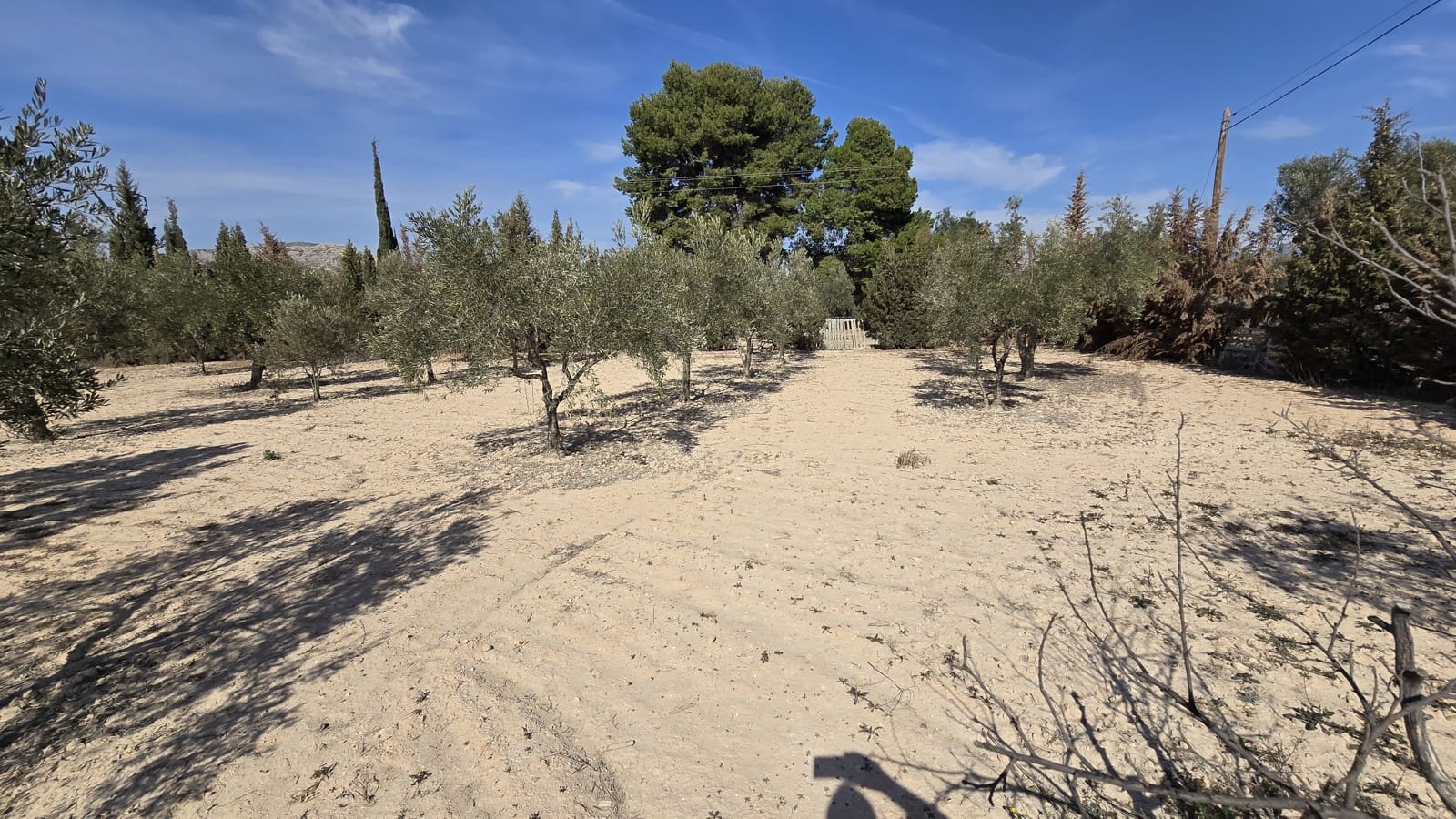 3 soveværelse Finca/Landehus til salg i Elda - € 230.000 (Ref: 8820576)