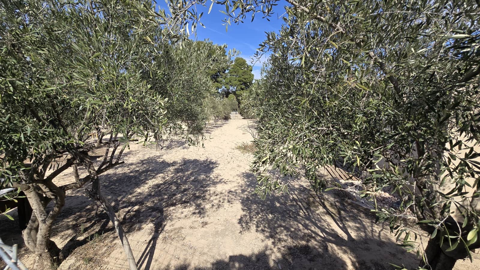 3 soveværelse Finca/Landehus til salg i Elda - € 230.000 (Ref: 8820576)