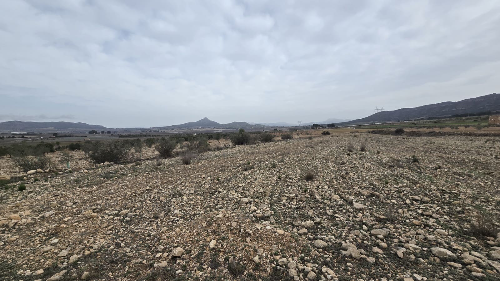 Terreno Non Edificato in vendita in Salinas - 45.000 € (Rif: 8885151)