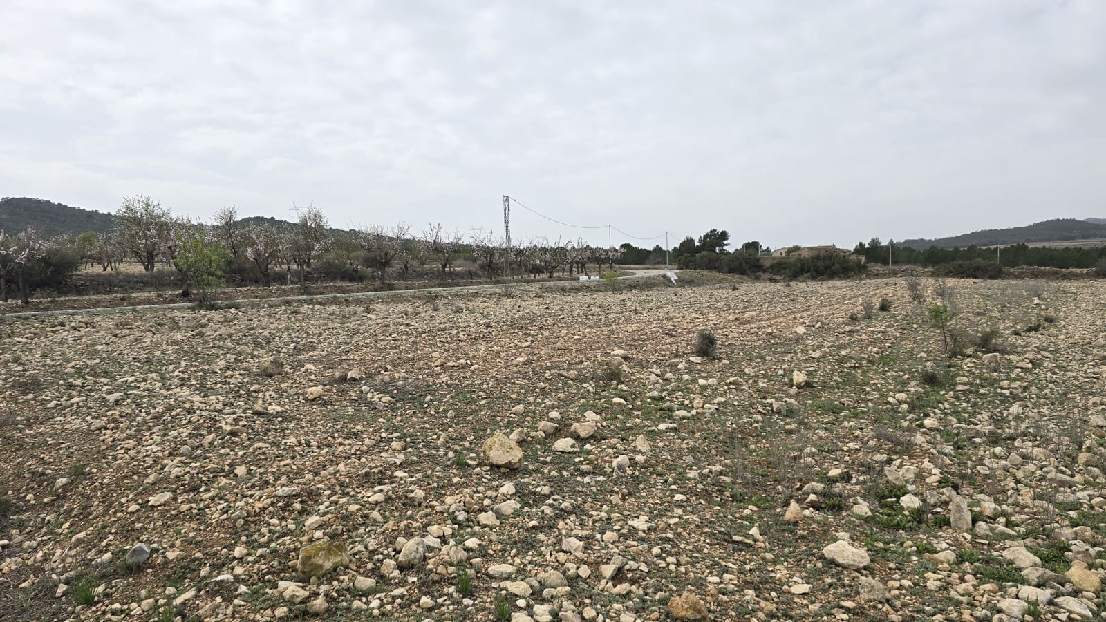 Terreno Non Edificato in vendita in Salinas - 45.000 € (Rif: 8885151)