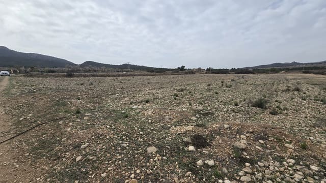 Undeveloped Land for sale in Salinas - € 45,000 (Ref: 8885151)