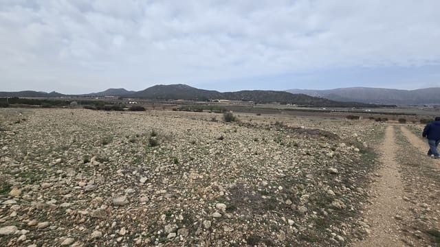Undeveloped Land for sale in Salinas - € 45,000 (Ref: 8885151)