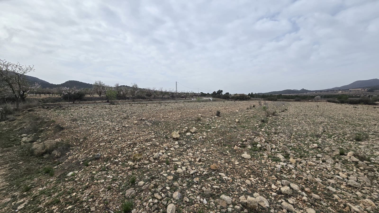 Grunde uden byggetilladelser til salg i Salinas - € 45.000 (Ref: 8885151)