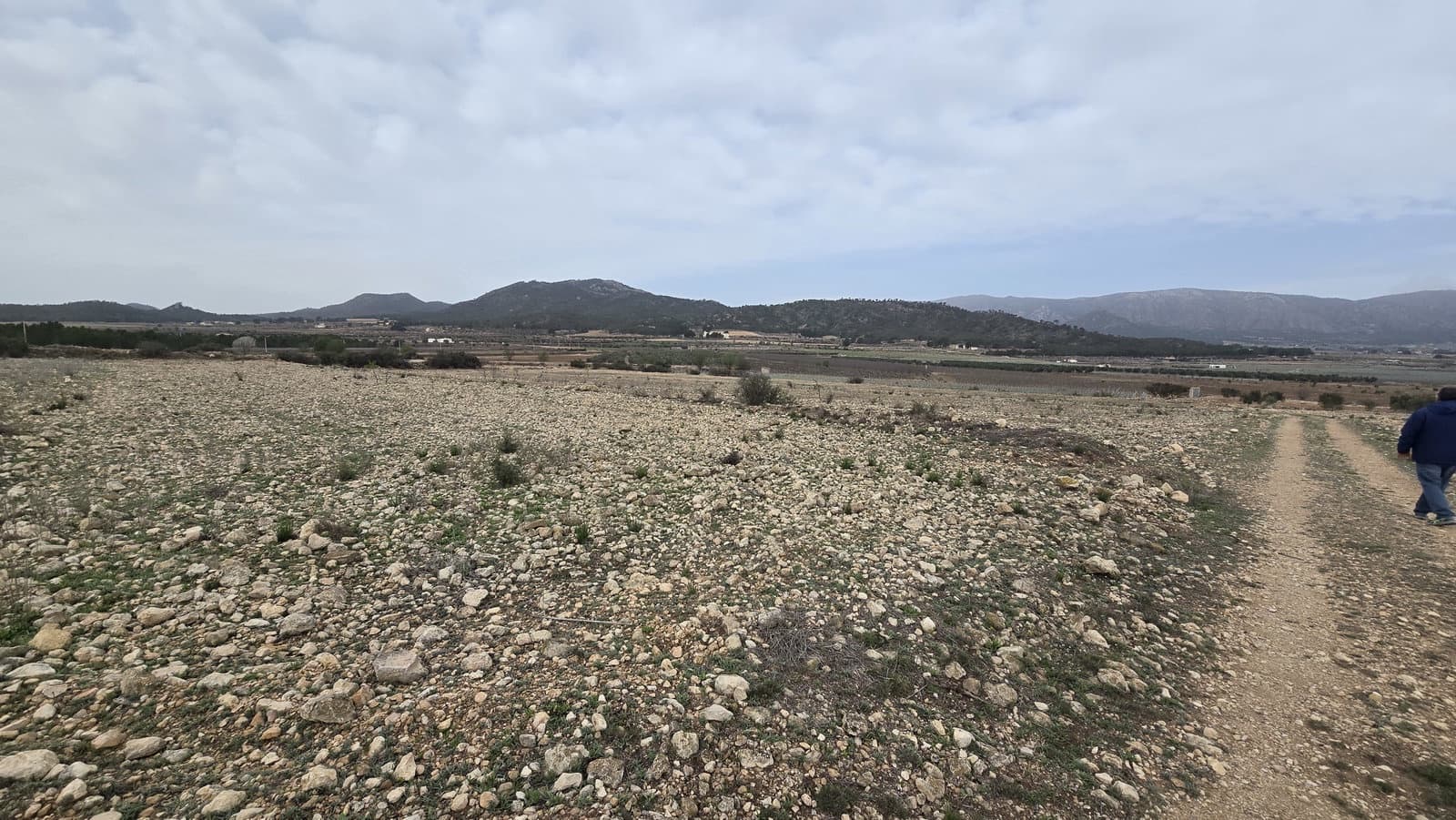 Grunde uden byggetilladelser til salg i Salinas - € 45.000 (Ref: 8885151)