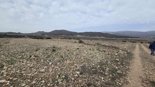 Teren niezagospodarowany na sprzedaż w Salinas - 45 000 € (Ref: 8885151)