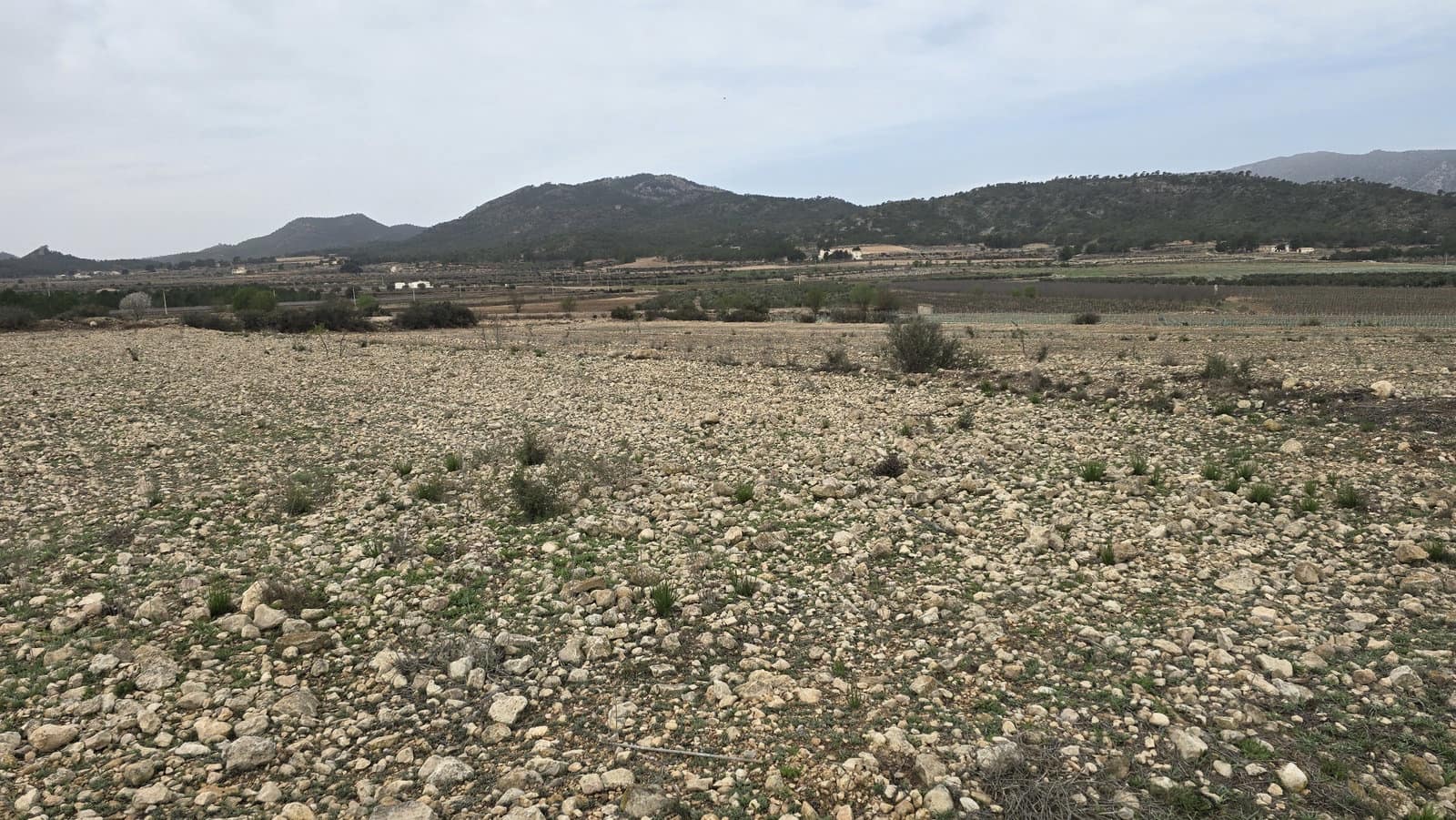 Grunde uden byggetilladelser til salg i Salinas - € 45.000 (Ref: 8885151)