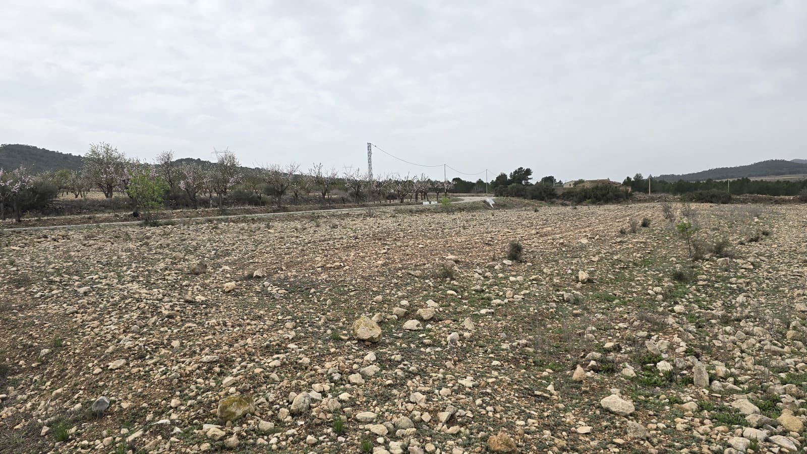 Grunde uden byggetilladelser til salg i Salinas - € 45.000 (Ref: 8885151)