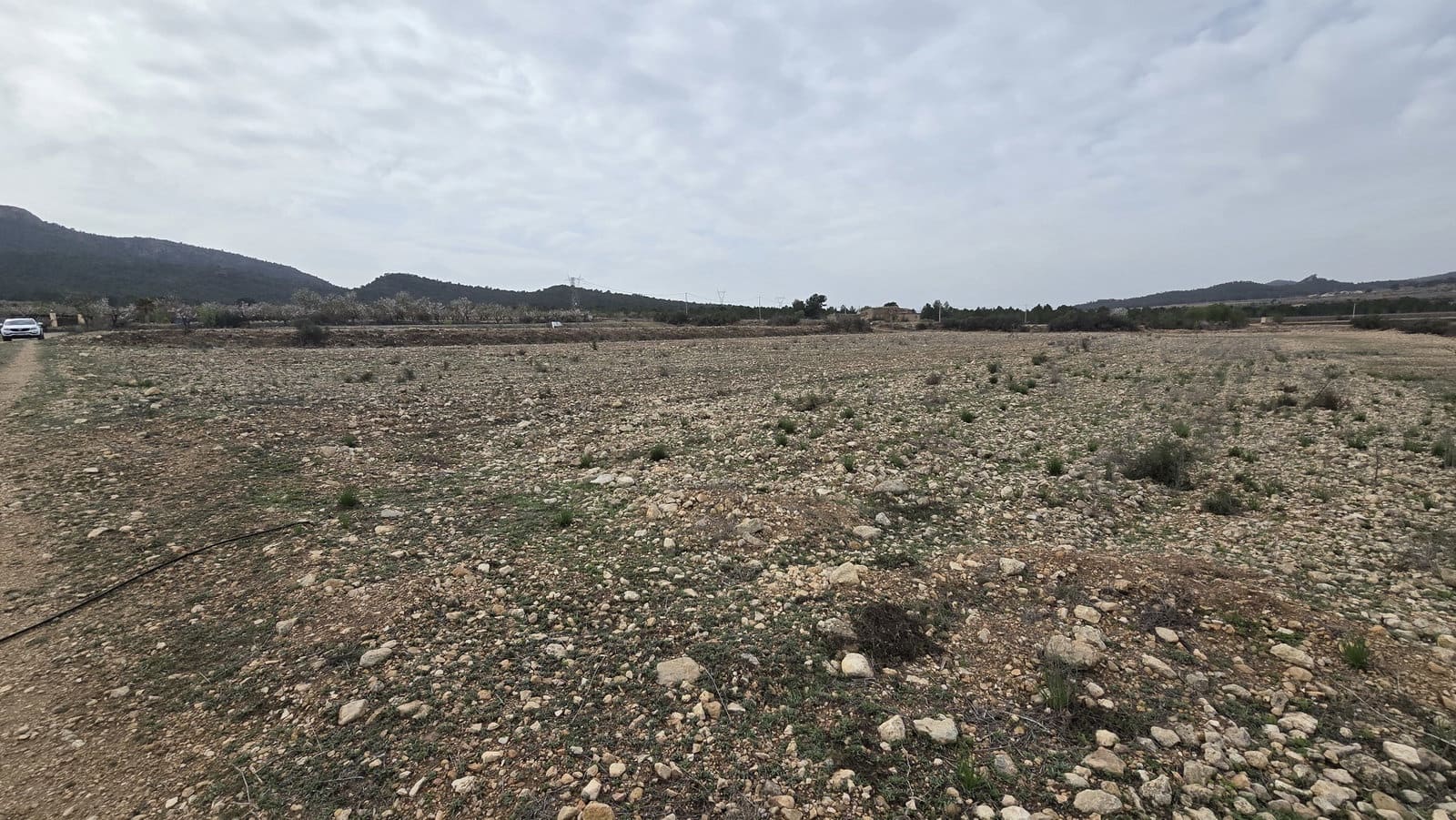 Grunde uden byggetilladelser til salg i Salinas - € 45.000 (Ref: 8885151)