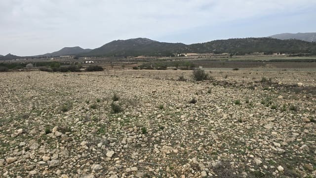 Teren niezagospodarowany na sprzedaż w Salinas - 45 000 € (Ref: 8885151)