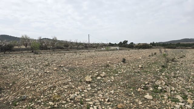 Teren niezagospodarowany na sprzedaż w Salinas - 45 000 € (Ref: 8885151)