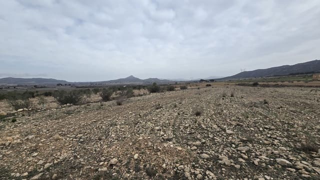 Teren niezagospodarowany na sprzedaż w Salinas - 45 000 € (Ref: 8885151)