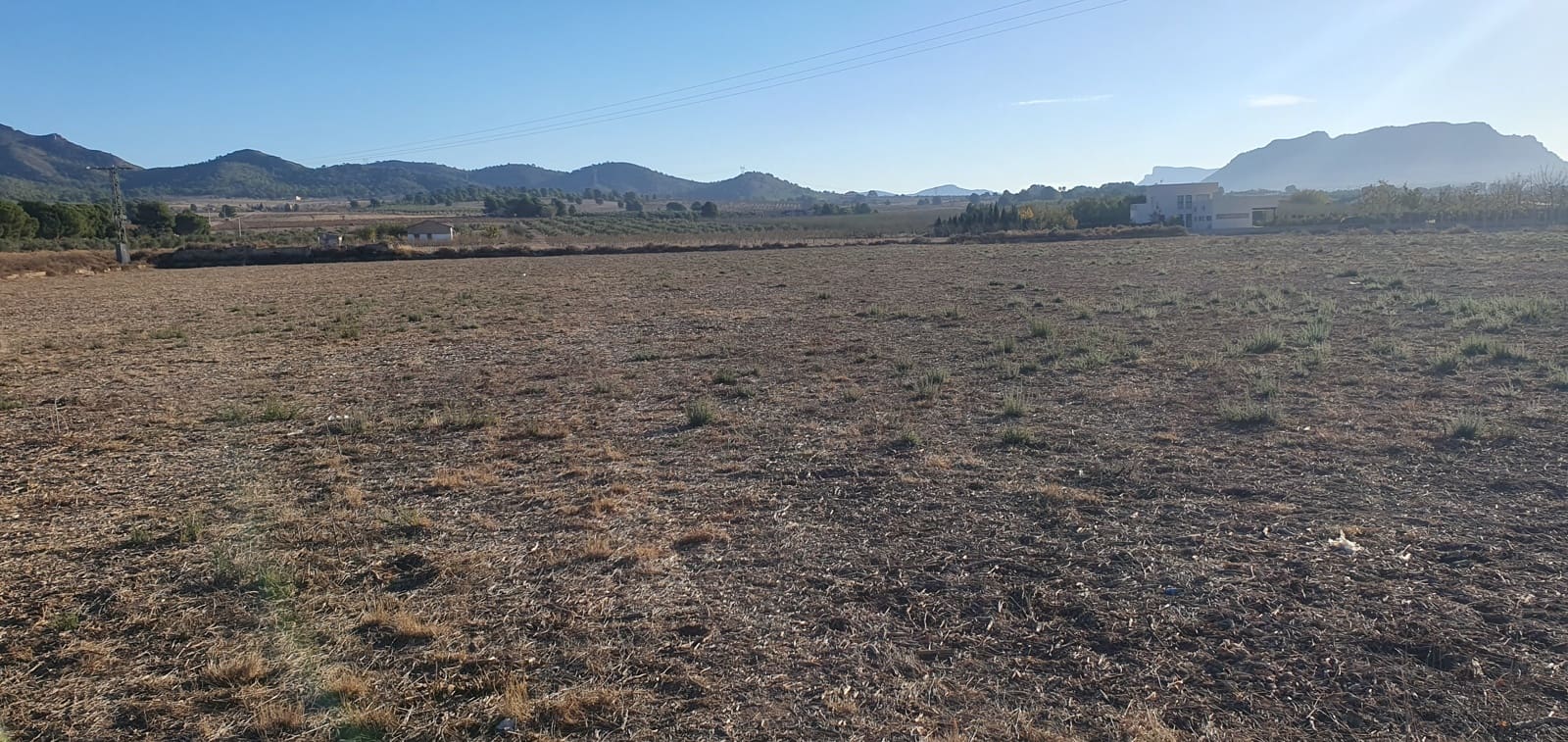 Undeveloped Land for sale in Salinas - € 36,000 (Ref: 8885416)