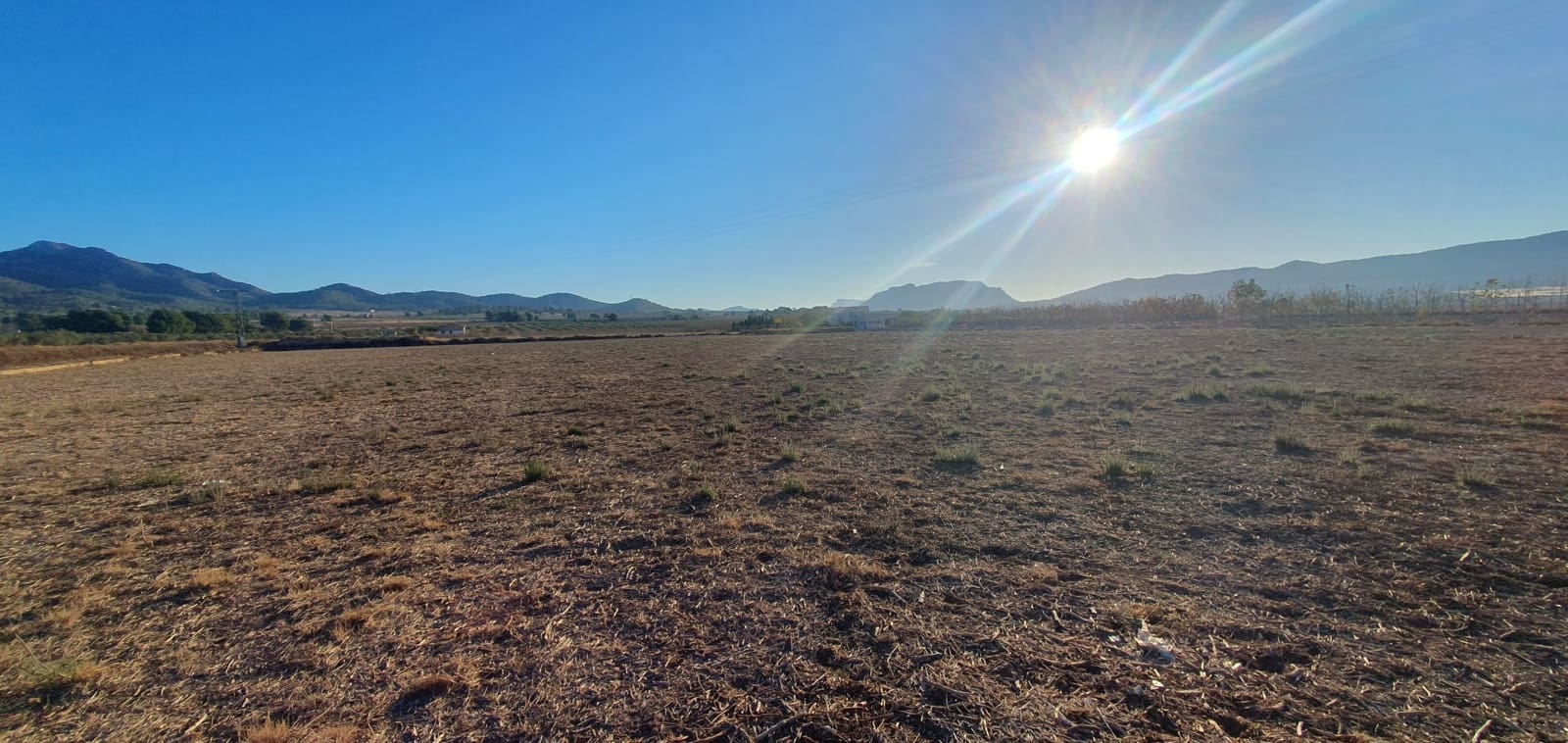 Undeveloped Land for sale in Salinas - € 36,000 (Ref: 8885416)