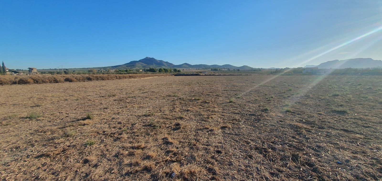 Undeveloped Land for sale in Salinas - € 36,000 (Ref: 8885416)