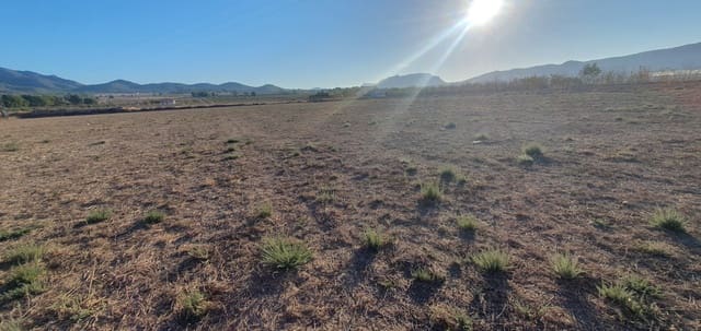 Undeveloped Land for sale in Salinas - € 36,000 (Ref: 8885416)