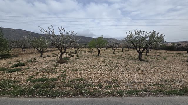 Undeveloped Land for sale in Salinas - € 86,000 (Ref: 8885417)
