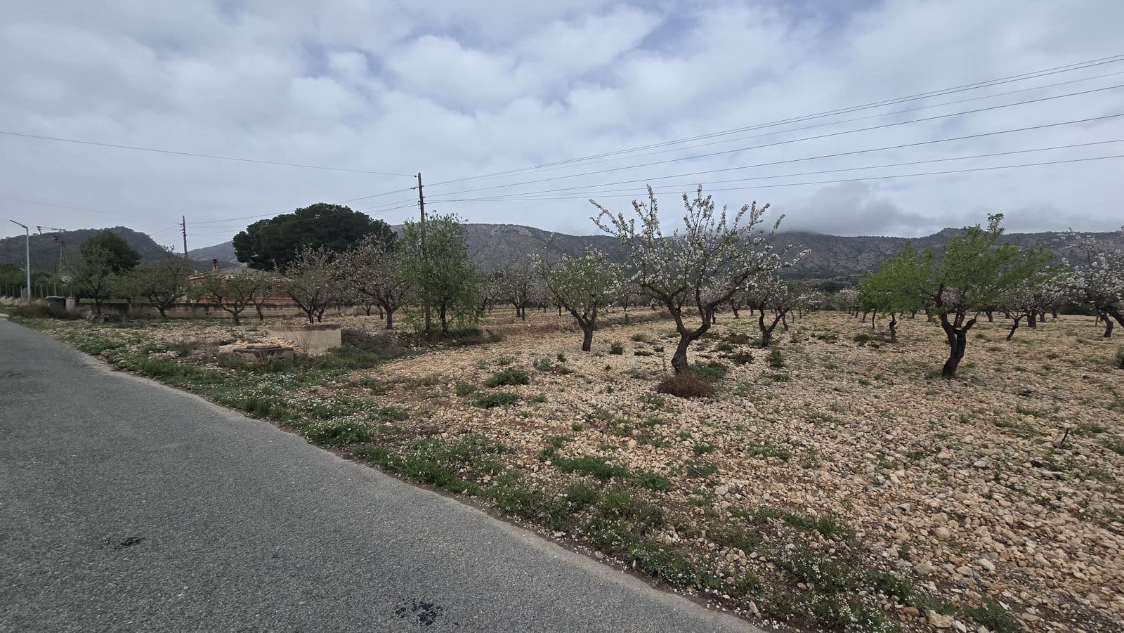 Grunde uden byggetilladelser til salg i Salinas - € 86.000 (Ref: 8885417)