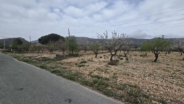 Terre non Aménagée à vendre à Salinas - 86 000 € (Ref: 8885417)